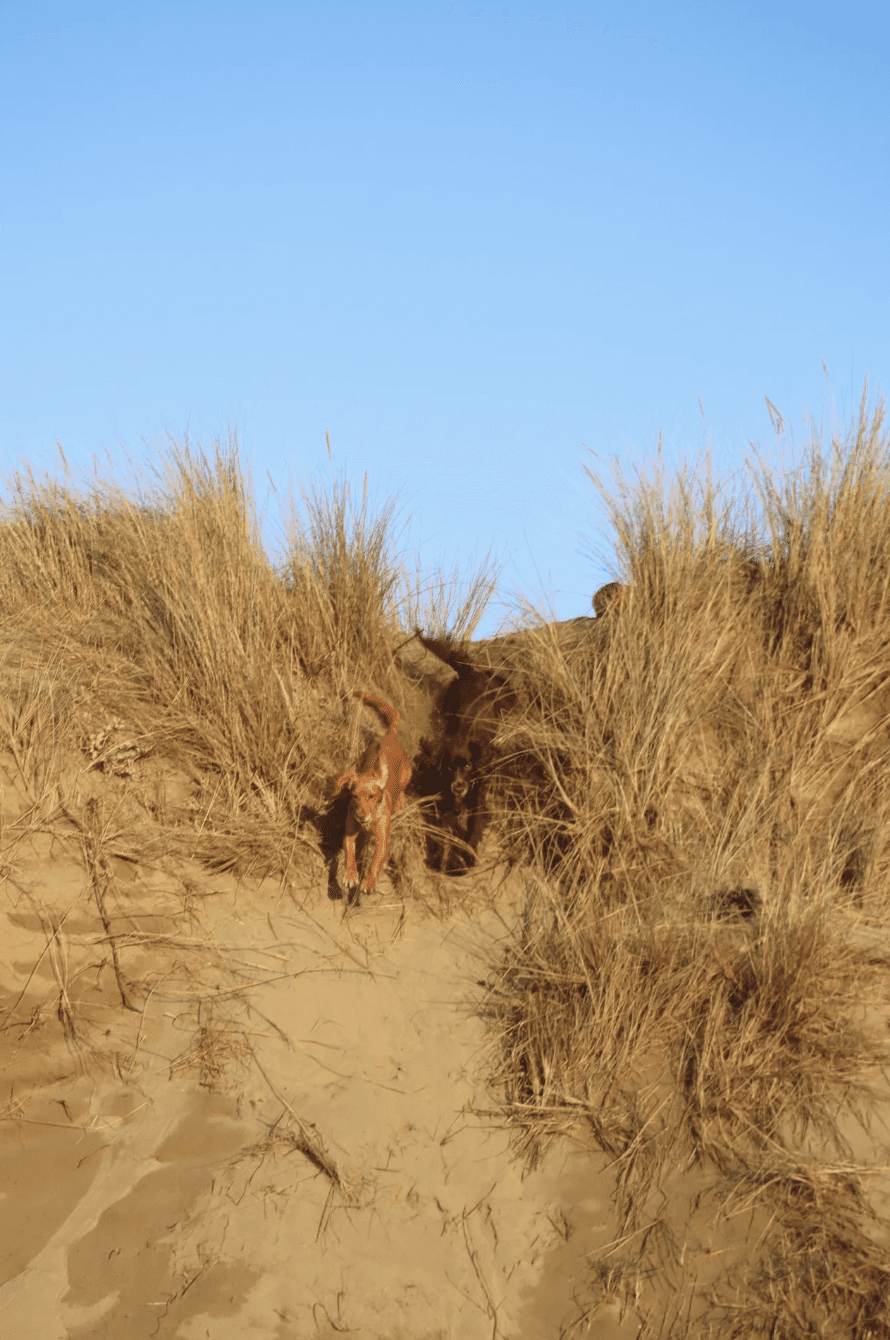 You can't have peaks without troughs: what waves taught me